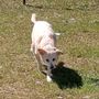 Photo of Shasta Valley Veterinary