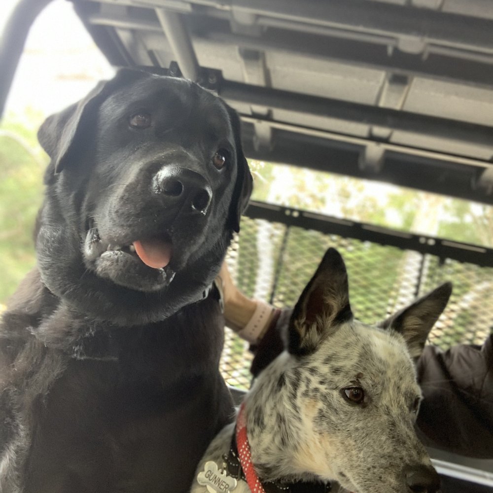 The Ruff Ranch - Two very happy customers. - Pet Training Near Me - Santa Ynez, California The Ruff Ranch - Two very happy customers. - Pet Training Near Me - Santa Ynez, California