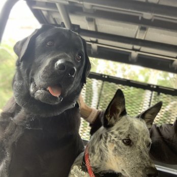 The Ruff Ranch - Two very happy customers. - Pet Training Near Me - Santa Ynez, California