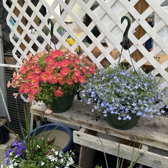Moore Blooms - Nurseries & Gardening Near Me - Middletown, Rhode Island