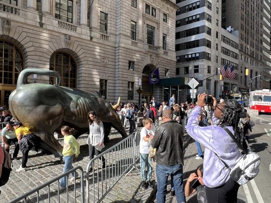 Charging Bull by null