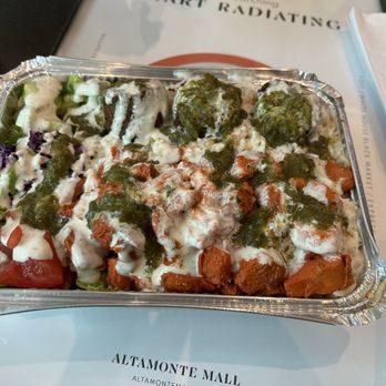 Baba’s Halal - Platter with chicken and falafel - Halal Near Me - Altamonte Springs, Florida Baba’s Halal - Platter with chicken and falafel - Halal Near Me - Altamonte Springs, Florida
