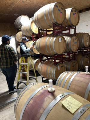 Robert Clay Vineyards by null
