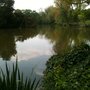 Photo of Moseley Park and Pool