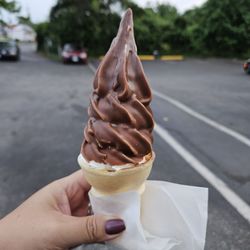 Hovermale's Tastes Best - Dip top cone