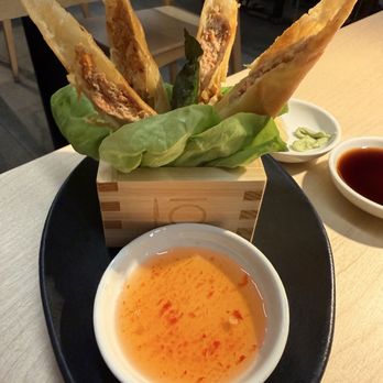 Kuro Sushi - Pork spring rolls - Asian Fusion Near Me - Lakewood Ranch, Florida