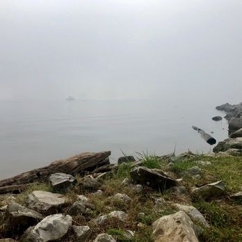 Cove - Somethings out there in the early morning mist. - Parks Near Me - Knoxville, Tennessee Cove - Somethings out there in the early morning mist. - Parks Near Me - Knoxville, Tennessee