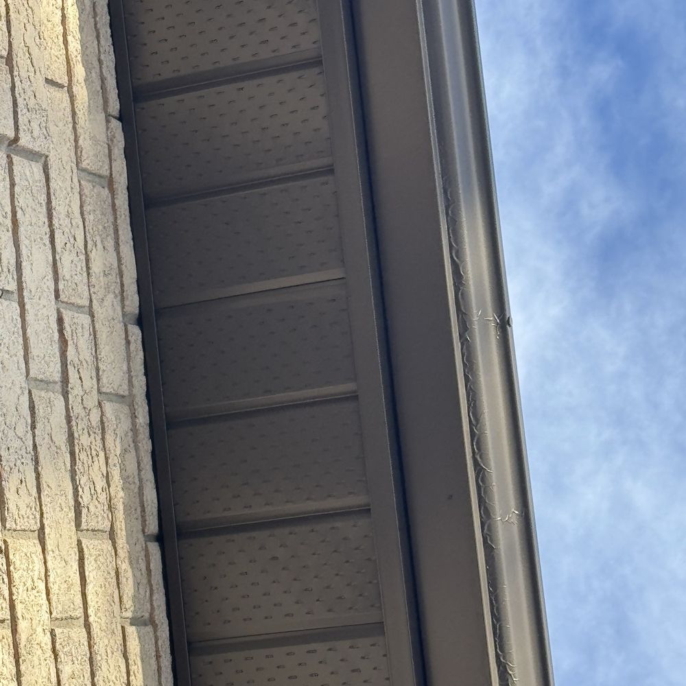 Champ Painting - Painters Near Me