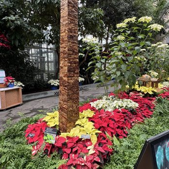 United States Botanic Garden - Botanical Gardens Near Me - Washington, DC, District of Columbia United States Botanic Garden - Botanical Gardens Near Me - Washington, DC, District of Columbia