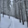 Photo of Ski Santa Fe