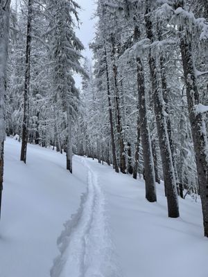 Ski Santa Fe by null Ski Santa Fe by null