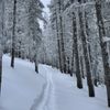 Ski Santa Fe gift card