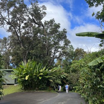 Mountain Thunder Coffee Plantation - Self tour - Coffee & Tea Near Me - Kailua-Kona, Hawaii