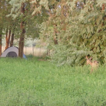 Ruins Road Rv Park - RV Parks Near Me - Aztec, New Mexico