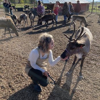 Reindeer Farm - Zoos Near Me - Palmer, Alaska Reindeer Farm - Zoos Near Me - Palmer, Alaska