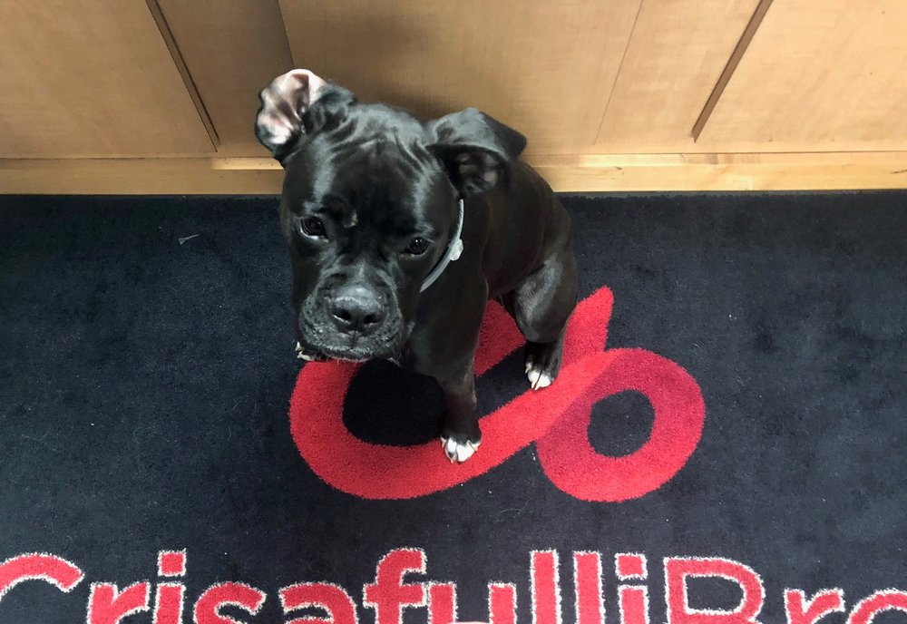 Slide of Crisafulli Bros. Plumbing & Heating Contractors