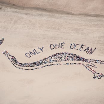 Ocean Beach - The children sent the public a message about the need to protect our oceans, depicting a Western Grebe diving after a fish. - Parks Near Me - San Francisco, California Ocean Beach - The children sent the public a message about the need to protect our oceans, depicting a Western Grebe diving after a fish. - Parks Near Me - San Francisco, California