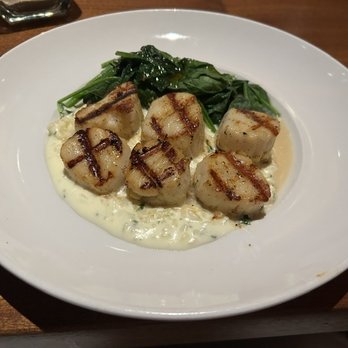 Seasons 52 - Grilled scallops, risotto and spinach - New American Near Me - Burlington, Massachusetts