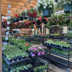 Kent East Hill Nursery