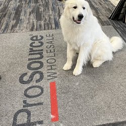 ProSource of Plymouth - Dogs are the best judges of Character!
