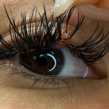 Princess Lash - you can see the root of the second lash my extension is attached to that got pulled out from being attached to multiple natural lashes - Eyelash Service Near Me - San Francisco, California Princess Lash - you can see the root of the second lash my extension is attached to that got pulled out from being attached to multiple natural lashes - Eyelash Service Near Me - San Francisco, California