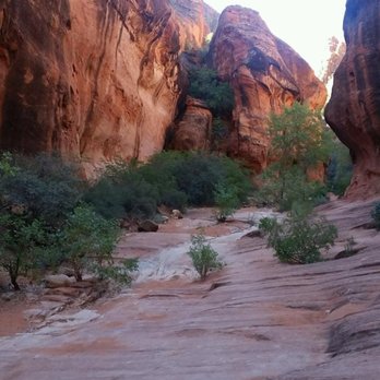 Red Cliffs Desert Reserve - Hiking Near Me - St. George, Utah