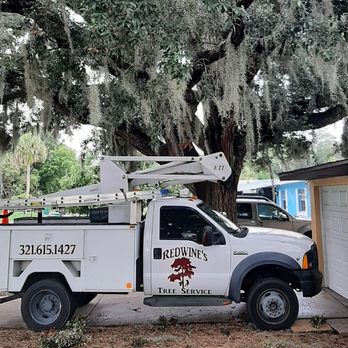Redwine's Tree Service - Bucket truck - Tree Services Near Me - Titusville, Florida Redwine's Tree Service - Bucket truck - Tree Services Near Me - Titusville, Florida