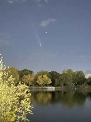 Prospect Park by null