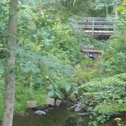 Branford Supply Pond Park - Enjoying some of the sites on the hiking trail.