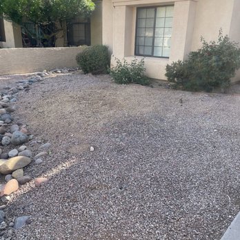 Your Way Tree Service - Tree Services Near Me - Scottsdale, Arizona Your Way Tree Service - Tree Services Near Me - Scottsdale, Arizona