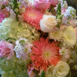 Country Garden Flowers