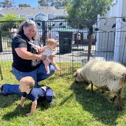 Little Thinkers Montessori Academy - Petting Zoo