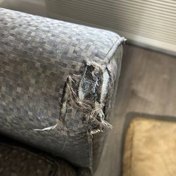 Economy Inn Florence - This is the chair provided