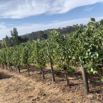 Truchard Vineyards - Vineyards - Wineries Near Me - Napa, California Truchard Vineyards - Vineyards - Wineries Near Me - Napa, California