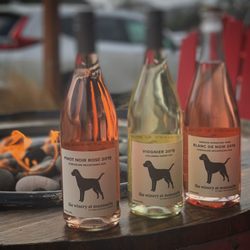 Manzanita NW: Wine Bar & Winery Tasting Room