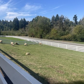 Kelsey Creek Farm Park - Venues & Event Spaces Near Me - Bellevue, Washington