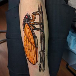 Studio 28 - Bo really captured the beauty of the cicada in this piece