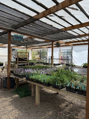Rehm S Nursery And Garden Center