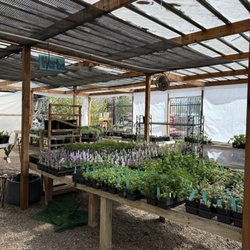Rehm's Nursery and Garden Center