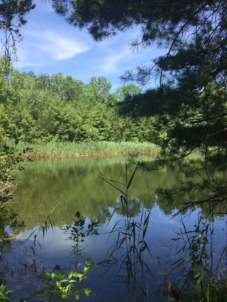 STOCKPORTGREENPORT TRAIL Updated June 2024 10 Photos Hudson, New York Hiking Phone