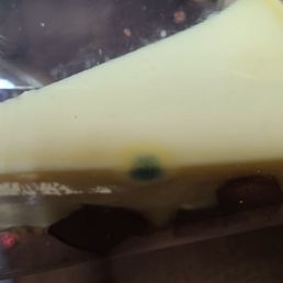 Disgusting moldy cheesecake