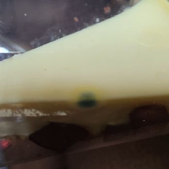 Bagel University - Disgusting moldy cheesecake - Bagels Near Me - Vineland, New Jersey