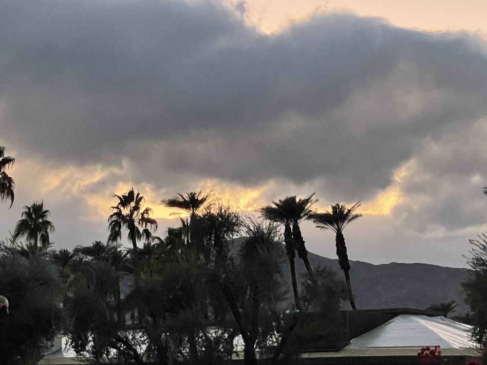 Claire Vines, Psy.D - grief counselor in Rancho Mirage, CA