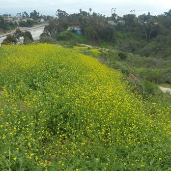 Normal Heights Open Space - Parks Near Me - San Diego, California Normal Heights Open Space - Parks Near Me - San Diego, California