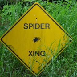 Knight's Spider Web Farm - Another Spider Web Sign