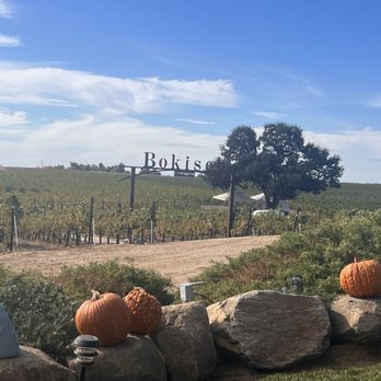 Bokisch Vineyards - Vineyard - Wine Tasting Room Near Me - Lodi, California