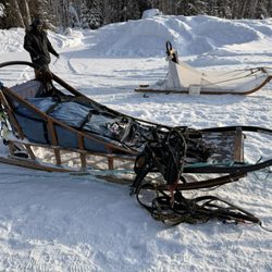Paws For Adventure - A wood and a plastic sled