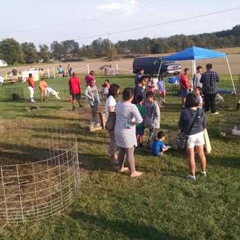 DeBucks Family Farm - Petting zoo - Pumpkin Patches Near Me - Belleville, Michigan DeBucks Family Farm - Petting zoo - Pumpkin Patches Near Me - Belleville, Michigan