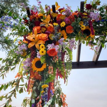 Flowers Plus - Florists Near Me - Charlotte, North Carolina Flowers Plus - Florists Near Me - Charlotte, North Carolina