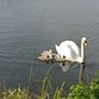 Photo of Killingworth Lakeside Park